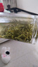 乐品乐茶特级明前碧螺春绿茶叶2025新茶春茶自己喝过年货礼盒装送长辈250g 实拍图