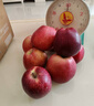 京鲜生 天水花牛苹果 净重4.5斤 单果 260g+ 生鲜水果源头直发 实拍图