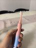 博皓（prooral）声波电动牙刷护龈压感提醒 自动牙刷成人充电式 情侣款 生日礼物T33 粉蓝 实拍图