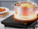 美的（Midea）电磁炉电陶炉家用 2200W大功率新型电磁灶火锅炉 一体面板炒菜烹饪一套带锅配锅 WH2202S 实拍图