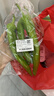 尖椒约300g 实拍图