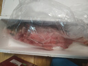 查干湖鱼【京东生鲜 年货礼盒】冬捕有机胖头鱼7.5-8斤 1条 过年春节 实拍图