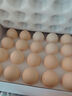 1号会员店One's Member叶黄素可生食标准鲜鸡蛋 20枚 单枚55g 源头直发 实拍图