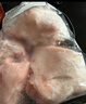双汇猪小蹄膀净重3斤冷冻猪蹄膀猪肘子切块生鲜猪肉酱卤蹄髈肘子食材 实拍图