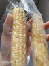 京鲜生【品质好货】版纳花糯玉米净重4斤单果100g+真空包装源头直发 实拍图