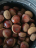 丹东新鲜板栗生栗子当季5斤现摘毛油栗子嫩板栗锥栗整箱生鲜蔬 9斤 【严选大果】净重8.5斤 实拍图