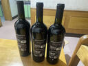 彼奇尼PICCINI意大利原瓶进口红酒彼奇尼枯藤普利亚红葡萄酒单支750ML 实拍图