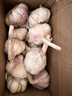 【东东农场专供】2025年新鲜七成干大蒜头 【东东农场专供】七成干大蒜头2斤含箱 实拍图