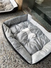 憨憨乐园狗窝猫窝XXL号宠物房子狗狗用品狗垫子屋四季大型犬垫床加大号 实拍图