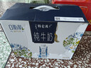 蒙牛特仑苏嗨Milk脱脂纯牛奶250ml*10盒 0脂肪 精美京绣年货礼盒 实拍图
