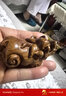 老挝黄花梨木雕手把件招财貔貅手工实木雕刻红木核桃摆件工艺礼品 招财貔貅 约7公分 实拍图