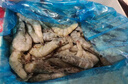 良满鲜 厄瓜多尔白虾 无冰净重3斤 75-90只/盒盐冻大虾海鲜年货礼盒送礼 实拍图