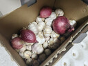 京鲜生山东紫皮小洋葱净重3斤装 新鲜白肉脆甜30g-150g小葱头 源头直发 实拍图