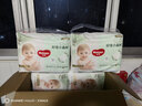 好奇（Huggies）小森林拉拉裤XL32+2片(12-17kg)尿不湿心钻【透氧顶配更低敏】 实拍图