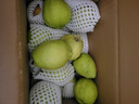 京鲜生 新疆特级库尔勒香梨 净重5斤单果120g以上 生鲜水果 实拍图