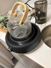 苏泊尔（SUPOR）迷你电陶炉 煮茶器煮茶炉煮茶壶 养生围炉煮茶泡茶办公家用不挑器具SW-DTL05 实拍图