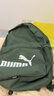 彪马（PUMA）户外通勤旅行大容量双肩背包男女款学生书包电脑包079943 浅绿灰-05 OSFA 实拍图