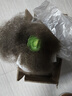 【新人专享】虹之玉多肉植物彩色系列红色精品多肉办公室室内 随机多肉8颗不重复 实拍图