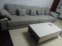 杜杜美家奶油风麂皮绒布艺沙发组合客厅小户型简约现代直排云朵沙发A61# 实拍图
