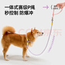 加仕高宠物P链XL号 狗狗牵引绳狗绳狗链项圈中型犬狗狗外出遛训犬狗带 实拍图