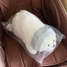 名创优品（MINISO）白熊趴姿公仔毛绒玩具抱枕靠垫卧室办公室午睡枕生日礼物 升级版 实拍图