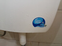 莱尔诗丹（Larsd）蹲便器水箱 蹲坑冲便器 蹲厕冲水箱 冲厕所便池双按大冲力SX-007 实拍图