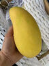 甜萌果蔬金煌芒芒果【多地次日达】当季现摘海南大芒果新鲜水果青芒果整箱 9斤精选装【单果300g+】净8斤 实拍图