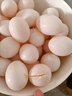 均鲜新鲜土鸽子蛋杂粮喂养农家特产白鸽蛋信鸽蛋孕妇宝宝年货节礼盒装 30枚610g左右精选鲜鸽蛋 实拍图