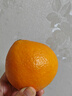 京鲜生 爱媛果冻橙 净重10斤装 单果180g起 生鲜水果柑橘桔子年货礼盒  实拍图