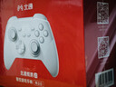 北通鲲鹏20无线游戏手柄智控双切扳机震动蓝牙手柄xbox电脑PC手机steam电视NSswitch2体感原神宝可梦ZA 实拍图