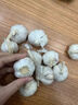 紫白皮蒜水果大蒜超市即食生鲜蔬菜大蒜 [活动]8头 200g 单果3.5-5cm 实拍图