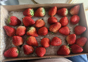 京觅 丹东草莓99红颜奶油水果礼盒生鲜 净重1斤装 单果20-30g源头直发 实拍图