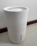 米家小米空气加湿器 无雾加湿器3 400mL/h快速加湿 家用卧室大容量 办公室婴儿孕妇 4L大容量 无雾加湿器3  400mL/h 实拍图