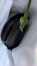 山东新鲜绿把紫皮长茄现摘现发新鲜嫩茄新鲜时令蔬菜生鲜 新鲜绿把紫茄 1斤 现摘现发 实拍图