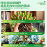 史丹利多肉土专用营养土颗粒土养多肉的种植土花土植物泥炭土壤5斤 实拍图