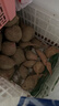 京鲜生山东烟薯25号蜜薯(已糖化) 净重4.5斤 精选中果150-400g 源头直发 实拍图