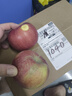 京鲜生 新疆阿克苏苹果4.5斤装单果75mm+ 生鲜水果源头直发包邮 实拍图