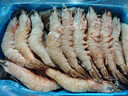 鲜京采野生海捕对虾 净重3斤/盒 30-45只/盒 实拍图