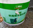 三棵树漆墙面修补膏防霉抗菌白色墙面去污修复腻子粉膏墙皮脱落防水补墙膏 实拍图