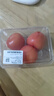 番茄约500g 实拍图