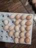 京鲜生 无抗保洁鲜鸡蛋30枚/盒 健康轻食 礼盒送礼 1.5kg/盒 源头直发 实拍图