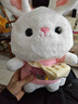 爱尚熊兔子玩偶毛绒玩具小女孩娃娃送女生生日情人节礼物女朋友抱枕公仔 实拍图