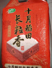 十月稻田 2025年新米 长粒香大米 20斤（东北大米 香米 10公斤） 实拍图