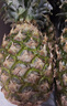 京鲜生  海南金钻凤梨 4粒装 单果2斤起 生鲜水果 实拍图