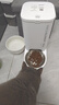 小佩智能自动喂食器SOLO白色 定时定量猫咪自动投食器(支持鸿蒙智联) 实拍图