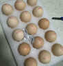 京鲜生富硒鲜鸡蛋30枚 3斤 源头直发 实拍图