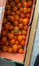 京鲜生 砂糖橘/砂糖桔 净重5斤精品果 生鲜水果年货礼盒  实拍图
