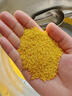 秋宜 陕西黄小米新米农家精品糯小米宝宝辅食五谷杂粮优质粘米 精选3斤【严选装】净重2.5斤 新鲜 实拍图