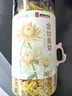 福东海 菊花茶【约100朵完整大花】金丝皇菊胎菊黄山贡菊特茶级花草茶 实拍图