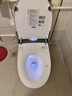 杜拉维特德立菲系列人体工学智能马桶一体机全自动翻盖即热家用坐便器金榜前十 DL830自动版（人体工学座圈） 250/300/350/400坑距下单备注 实拍图